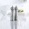 Trudeau Professional Stainless Steel 8 inch Pepper MillSalt Mill Set