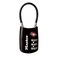 Master Lock Black Set Your Own Combination TSA Approved Luggage Lock Travel Lock for Backpacks Suitcases or Zippers 4688D