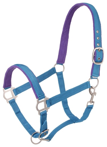 Tough 1 Nylon Padded Halter with Satin Hardware Turquoise Horse