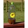 Fatal Funnel FFW6P Wasp and Hornet Traps 6Pack