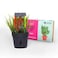 Tech Will Save Us Solar Thirsty Plant Kit  Educational Steam Toy Ages 8  Up