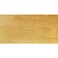 Heavy Body Acrylics by GOLDEN Iridescent Bright Gold Fine 5 fl oz Tube Professional Acrylic Paint SemiTransparent