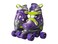 Chicago Skates Kids Adjustable Quad Roller Skates  Purple  Medium CRS210MD