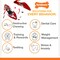 Nylabone Power Chew Classic Bone Chew Toy for Dogs Durable Dog Toys for Aggressive Chewers Original Flavor SmallRegular  Up to 25 Ibs 1 Count