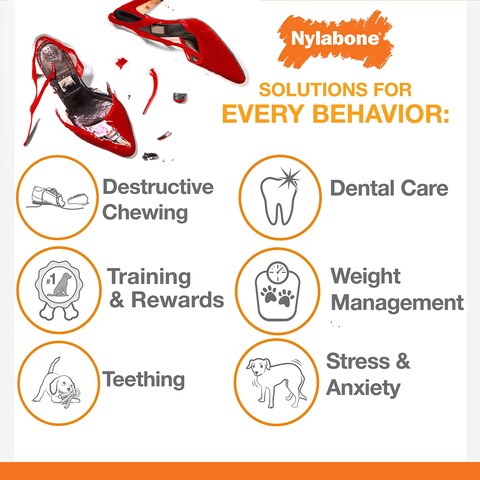 Nylabone Power Chew Classic Bone Chew Toy for Dogs Durable Dog Toys for Aggressive Chewers Original Flavor SmallRegular  Up to 25 Ibs 1 Count
