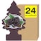 LITTLE TREES Air Fresheners Car Air Freshener Hanging Tree Provides Long Lasting Scent for Auto or Home Blackberry Clove 24 Air Fresheners