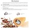 Bisetti 13 Inch Roma Beech Wood Pepper Mill With Adjustable Carbon Steel Grinder With Natural Finish
