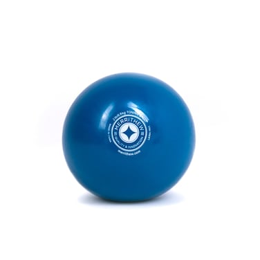 Merrithew STOTT Pilates Toning Ball Blue 2 lbs  09 kg