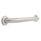 Franklin Brass 1Pack 18 ADA Grab Bar Concealed Screw Bathtub Handle Safety Grip Bar in Stainless Steel 112 diameter Wall Mount Shower Grab Bar Handicap 5618