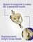 Hardware Essentials 852393 Bright Brass Door Knocker 7Inch