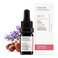 Odacit Acne Serum Concentrate for Face Pore Cleanser Facial Oil for Skincare with Jojoba  Lavender  Clogged Pores Facial Serum Concentrate Blackhead Remover Serum 017 fl Oz
