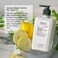 CO Bigelow Apothecary Duo  Lemon Hand Care Hand Soap  Lotion Gift Set of Two  Skin Care for Dry Skin with Moisturizing Lotion  Liquid Hand Wash  10fl oz Each