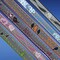 Rogz Reflective Cat Collar with Breakaway Clip and Removable Bell Fully Adjustable to fit Most Breeds Orange Bird Design
