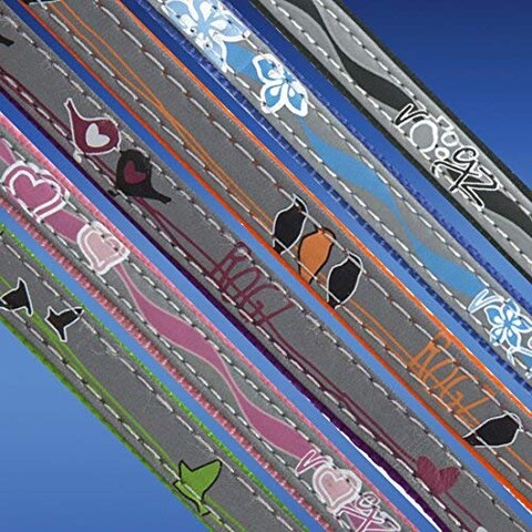 Rogz Reflective Cat Collar with Breakaway Clip and Removable Bell Fully Adjustable to fit Most Breeds Orange Bird Design