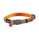 Rogz Reflective Cat Collar with Breakaway Clip and Removable Bell Fully Adjustable to fit Most Breeds Orange Bird Design