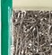 Dritz 112 200 Count NickelPlated Steel Safety Pins Size 2