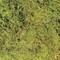 Zoo Med Frog Moss 80 CubicInches