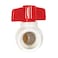 EZFLO 34 Inch Slip Schedule 40 PVC Quarter Turn Ball Valve Brass Plumbing Fitting 20113
