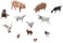 Noch 15711 Farm Animals Small 12 H0 Scale Figures