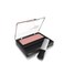 COVERGIRL Cheekers Blendable Powder Blush Pretty Peach 12 oz packaging may vary 1 Count