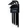 CRAFTSMAN Hex Key Allen Wrench Set with BallEnd Torx 10 Piece CMHT26031