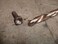 Century Drill  Tool 74110 Left Hand DrillSplint Point Tips Precise Drilling