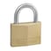 Master Lock 150D Brass Padlock Silver