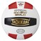 Tachikara SV5W Gold Competition Premium Leather Volleyball ScarletWhiteBlack