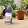 Bonide Bontone II Rooting Powder 125 oz ReadytoUse Dust for Houseplants and Transplants Speeds Root Development