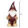 FOCO Florida State 2008 Team Gnome