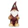 FOCO Florida State 2008 Team Gnome
