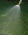 Dramm 12350 Seedling Nozzle Gold