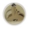 Attwood 118757 Floating Key Buoy Key Chain for mens 1 764 x 2 5164 x 516 Inch