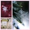 Morex Ribbon 74056050619 Snowflake 25 X 50 YD Nylon Sheer Wired Glitter Ribbon BurgundyGold Ribbon Art Supplies for Christmas Decorations Indoor Christmas Ribbon for Gift Wrapping Art Set