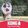 KONG Tug Toy  Dog Supplies for Tug of War  Natural Rubber Dog Toy for Outdoor  Indoor Playtime  for MediumLarge Dogs