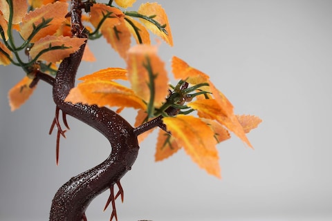 PennPLAX DecoReplicas Bonsai Tree Aquarium Decoration  Orange  Safe for Freshwater and Saltwater Fish Tanks  8 Height