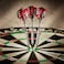 Viper Bully 80 Tungsten Steel Tip Darts with StorageTravel Case Coarse Knurling 24 GramsSilver