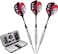 Viper Bully 80 Tungsten Steel Tip Darts with StorageTravel Case Coarse Knurling 24 GramsSilver