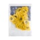 Dunlop Tortex Standard 073mm Yellow Guitar Pick 72 Pack