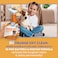OUT PetCare Complete Oxy Pet Stain and Odor Remover Oxy Orange Cleaner Spray Stain and Odor Eliminator Pet Carpet Cleaner Urine Remover and Odor Neutralizer Safe Effective 32 fl oz