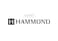 SUZUKI Harmonica Bb PromasterHammond