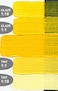 Heavy Body Acrylics by GOLDEN Cadmium Yellow Dark 8 fl oz Jar Professional Acrylic Paint Opaque