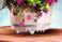 Bosmere 12 Clear S10440 Down Under Plant Stand