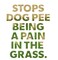 Dog Rocks Dog Pee Grass Neutralizer for Green Grass in 35 Weeks  Dog Grass Saver Rock  100 Natural Urine Neutralizer for Lawn  200 grams