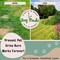 Dog Rocks Dog Pee Grass Neutralizer for Green Grass in 35 Weeks  Dog Grass Saver Rock  100 Natural Urine Neutralizer for Lawn  200 grams