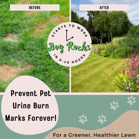 Dog Rocks Dog Pee Grass Neutralizer for Green Grass in 35 Weeks  Dog Grass Saver Rock  100 Natural Urine Neutralizer for Lawn  200 grams
