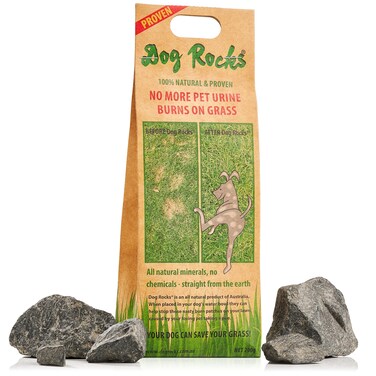 Dog Rocks Dog Pee Grass Neutralizer for Green Grass in 35 Weeks  Dog Grass Saver Rock  100 Natural Urine Neutralizer for Lawn  200 grams