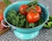 Reston Lloyd Calypso Basics Powder Coated Enameled Colander 3Quart Turquoise