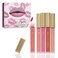 Beauty Concepts Lip Gloss Collection  Shimmering Glossy Lip Makeup Set for a Radiant Finish Pretty Pink
