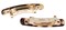 France Luxe Mini Rectangle Barrette Tokyo Set of 2  Classic French Design For Everyday Wear